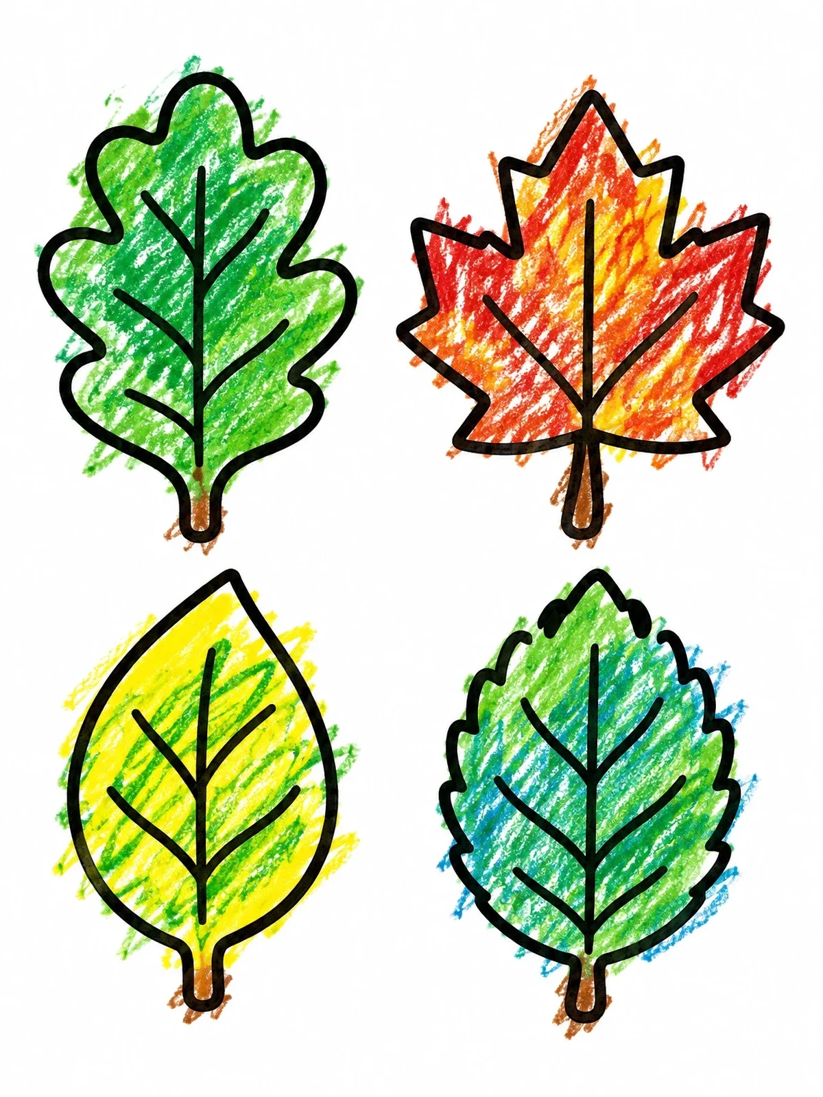 Colored example of the Four Simple Tree Leaf Outlines coloring page