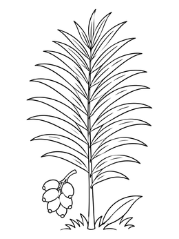 A detailed palm tree branch in this tropical tree leaves coloring page.