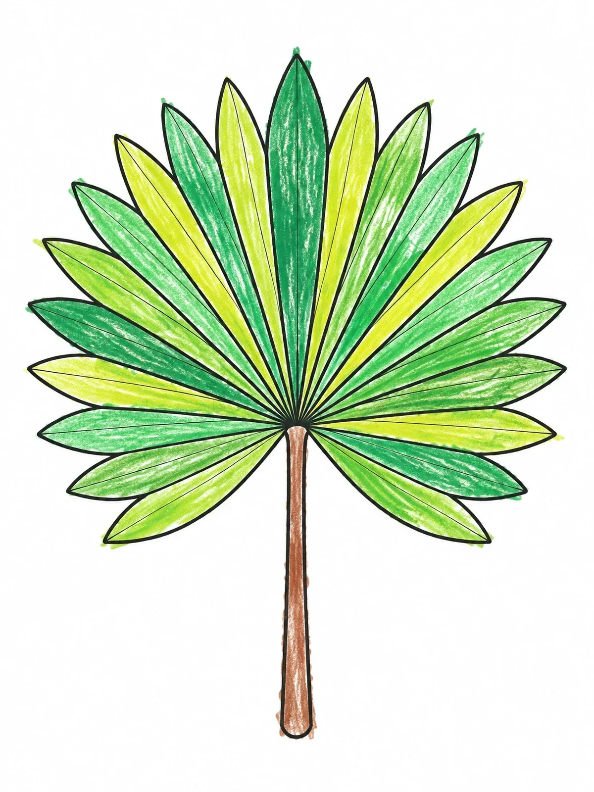 Colored example of the Round Palmetto Palm Leaf coloring page