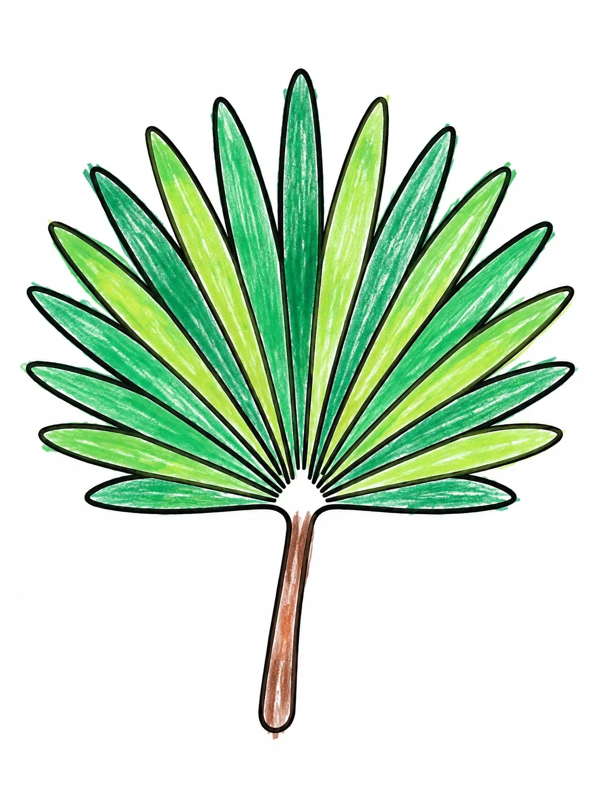 Colored example of the Simple Fan Palm Leaf coloring page