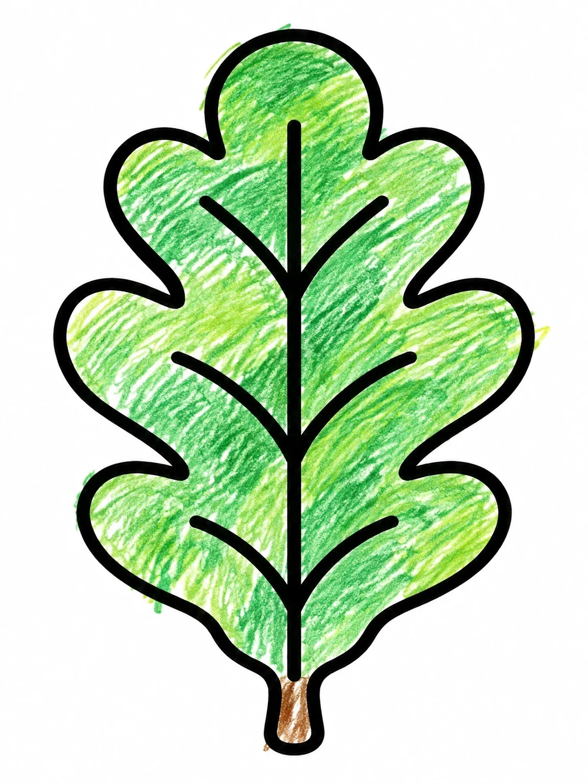 Colored example of the Simple Oak Leaf Outline coloring page
