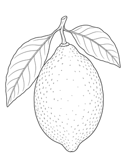 A detailed citrus fruit design featured in this lemons coloring page.