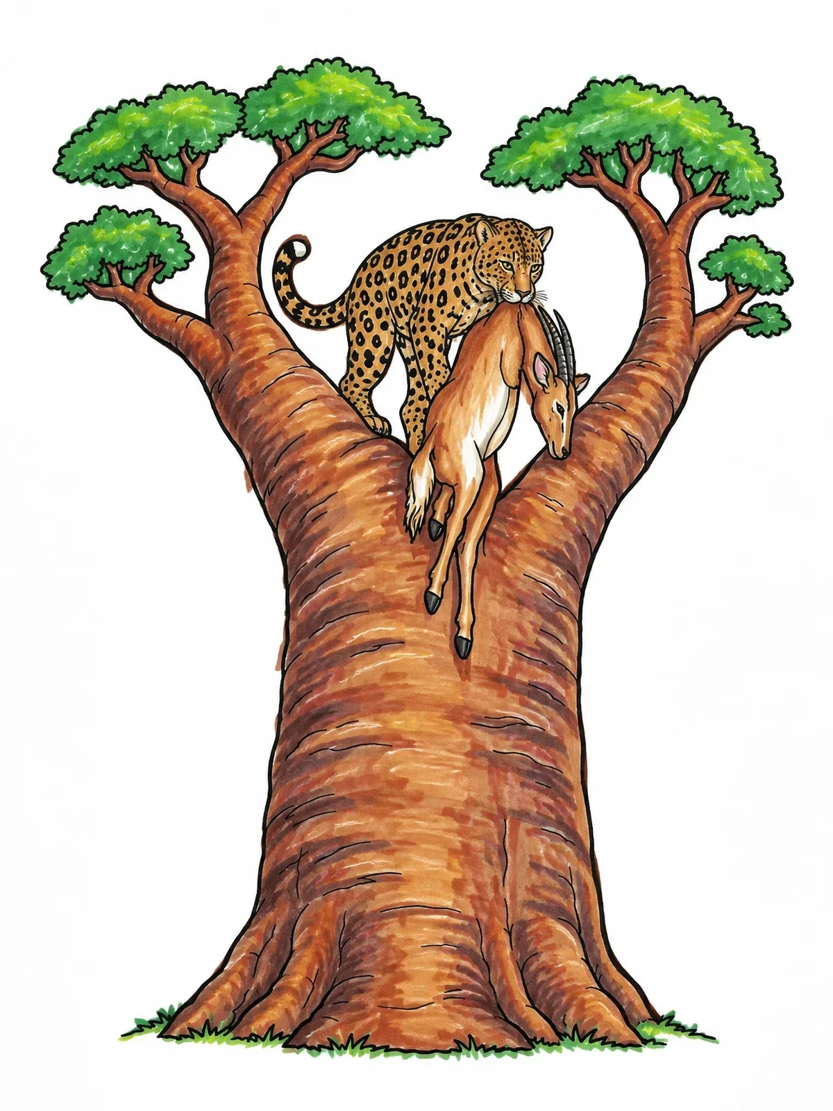 Colored example of the Leopard In A Baobab Tree coloring page