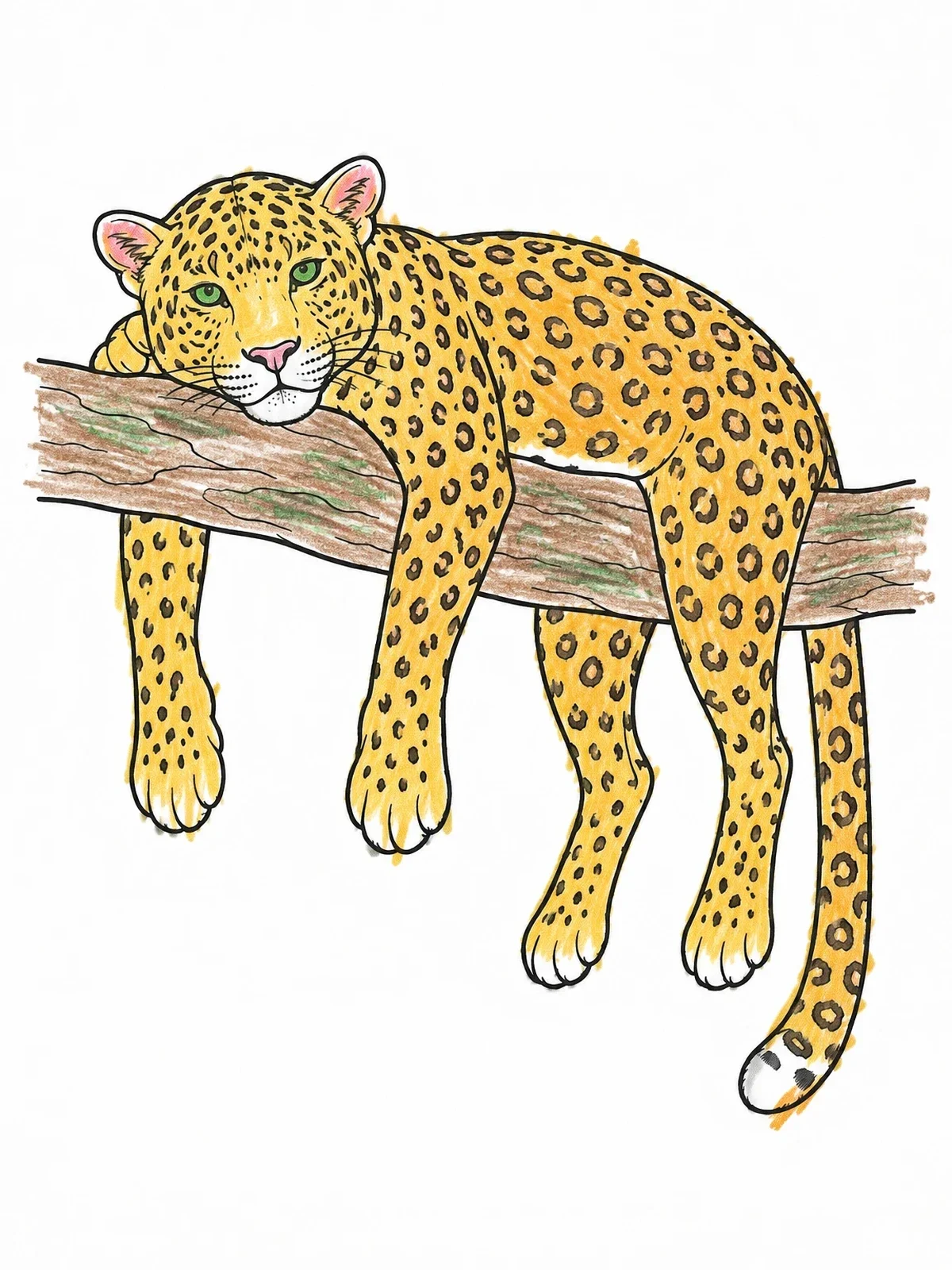 Colored example of the Leopard Resting On A Branch coloring page