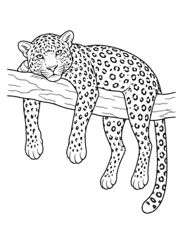 Free printable Leopard Resting On A Branch coloring page