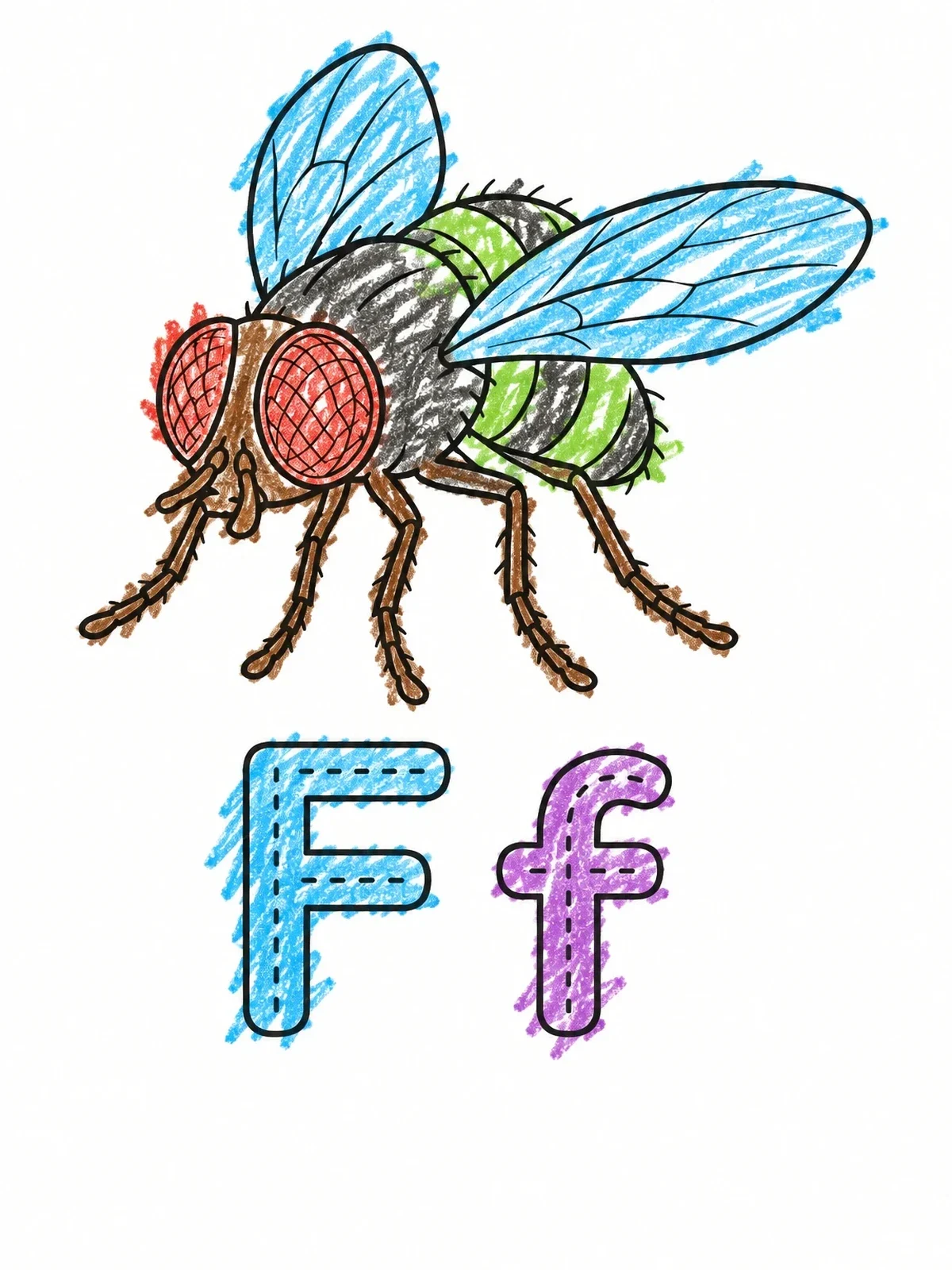Colored example of the Letter F Housefly Tracing Activity coloring page