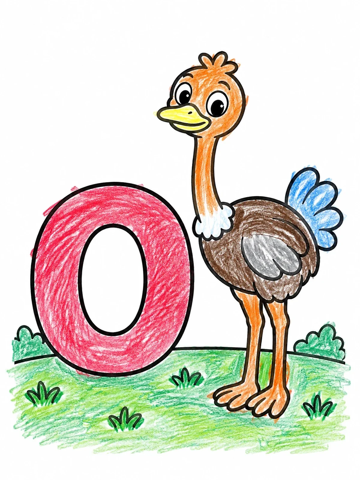 Colored example of the Letter O With Friendly Ostrich coloring page