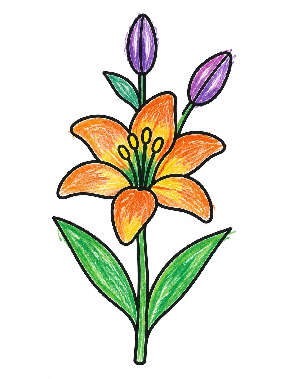 Colored example of the Blooming Lily With Buds coloring page