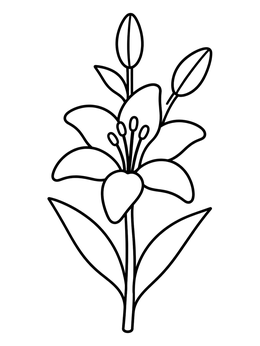 Free printable Blooming Lily With Buds coloring page