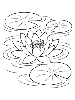 Free printable Water Lily On Calm Pond coloring page