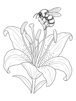 Free printable Bumblebee On Blooming Lily Blossom coloring page