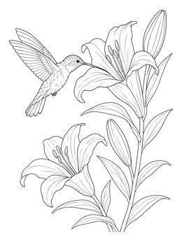 Free printable Hummingbird And Blooming Lily Flowers coloring page