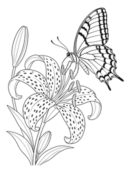 Free printable Swallowtail Butterfly On Tiger Lily coloring page