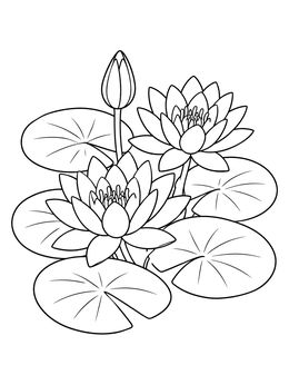Free printable Water Lilies And Floating Pads coloring page