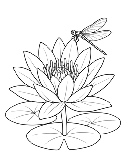 Free printable Water Lily With Dragonfly coloring page