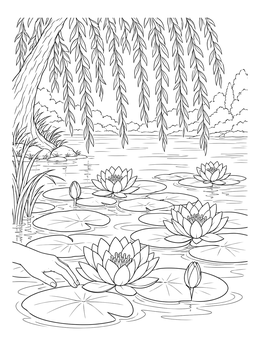 A serene lily pad coloring page featuring blooming water lilies resting beneath hanging willow branches.