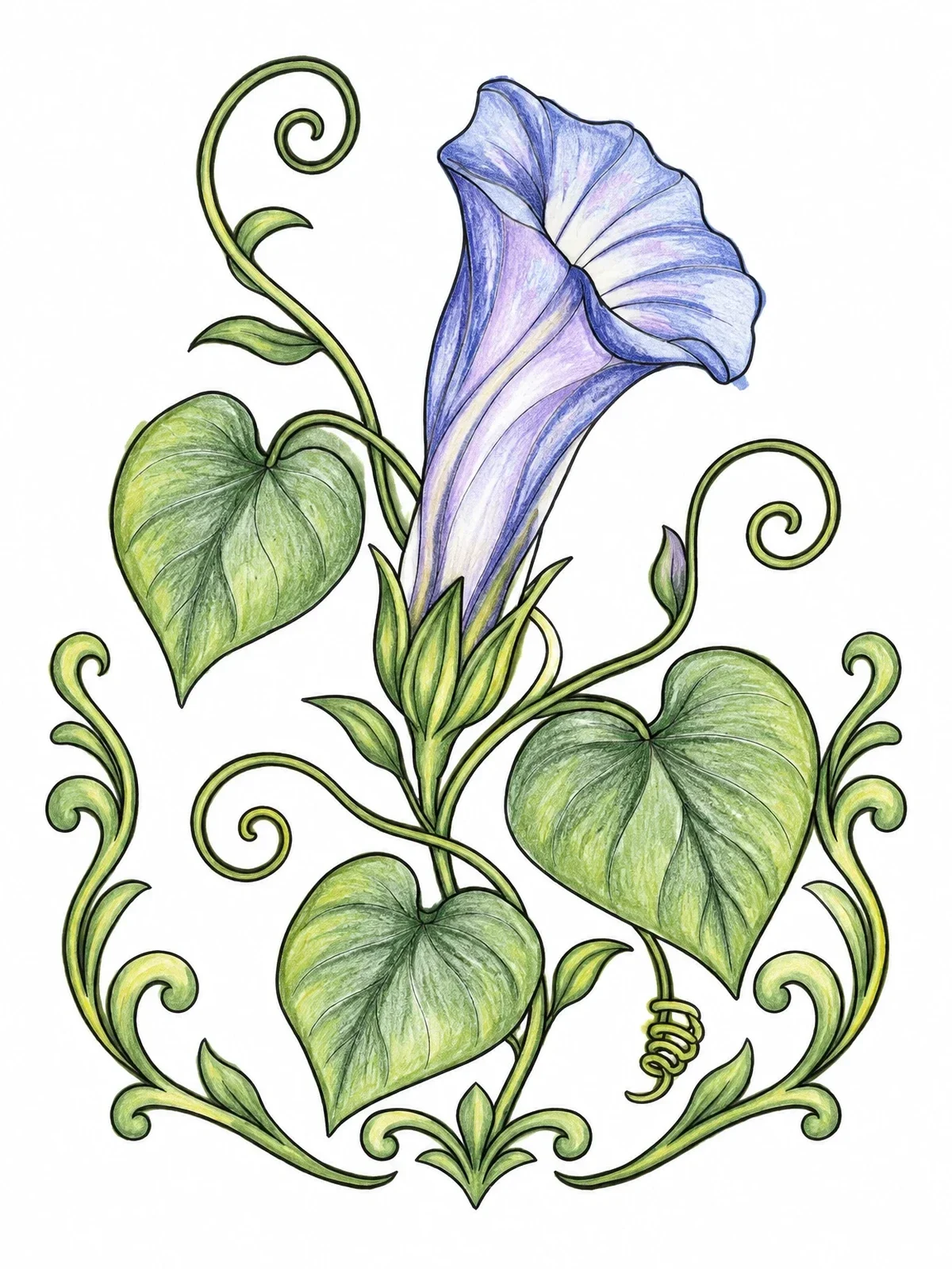 Colored example of the Blooming Moonflower With Twisting Vines coloring page