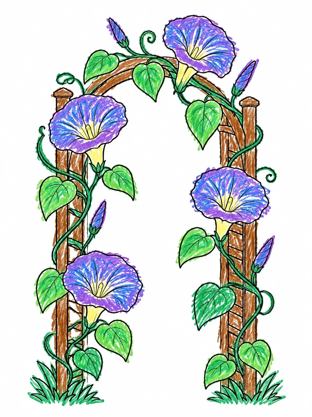 Colored example of the Moonflower Vine On Garden Trellis coloring page