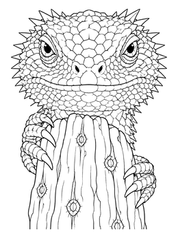 A detailed lizard coloring page featuring a spiny bearded dragon holding onto a desert cactus.