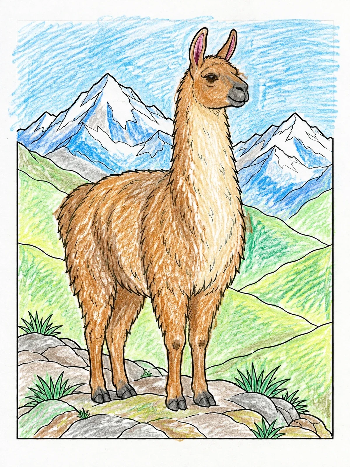 Colored example of the Llama On An Andean Mountain Ridge coloring page