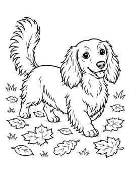 A fluffy dachshund coloring page featuring a happy pup walking through fallen autumn leaves.