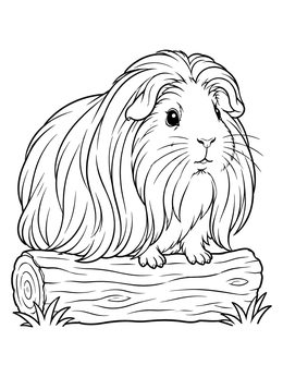 Free printable Long Haired Guinea Pig On Log coloring page