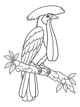 A long-wattled umbrellabird sits on a branch in this umbrella coloring page.