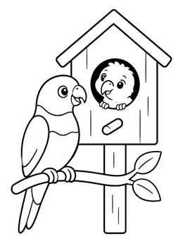 Free printable Lorikeet Chick And Parent At Birdhouse coloring page