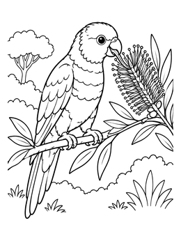 Free printable Lorikeet Sipping Nectar From Bottlebrush coloring page