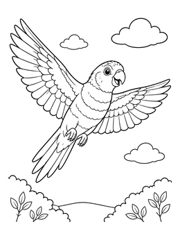 Free printable Lorikeet Soaring In The Sky coloring page