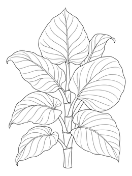 A realistic leaves coloring page featuring a tropical stem with broad foliage.