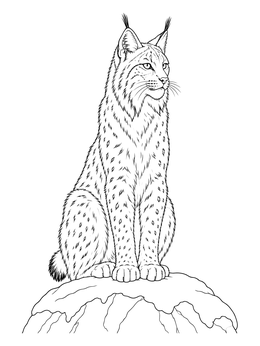 Detailed lynx coloring page showing a wildcat sitting alertly atop a snowy rock.