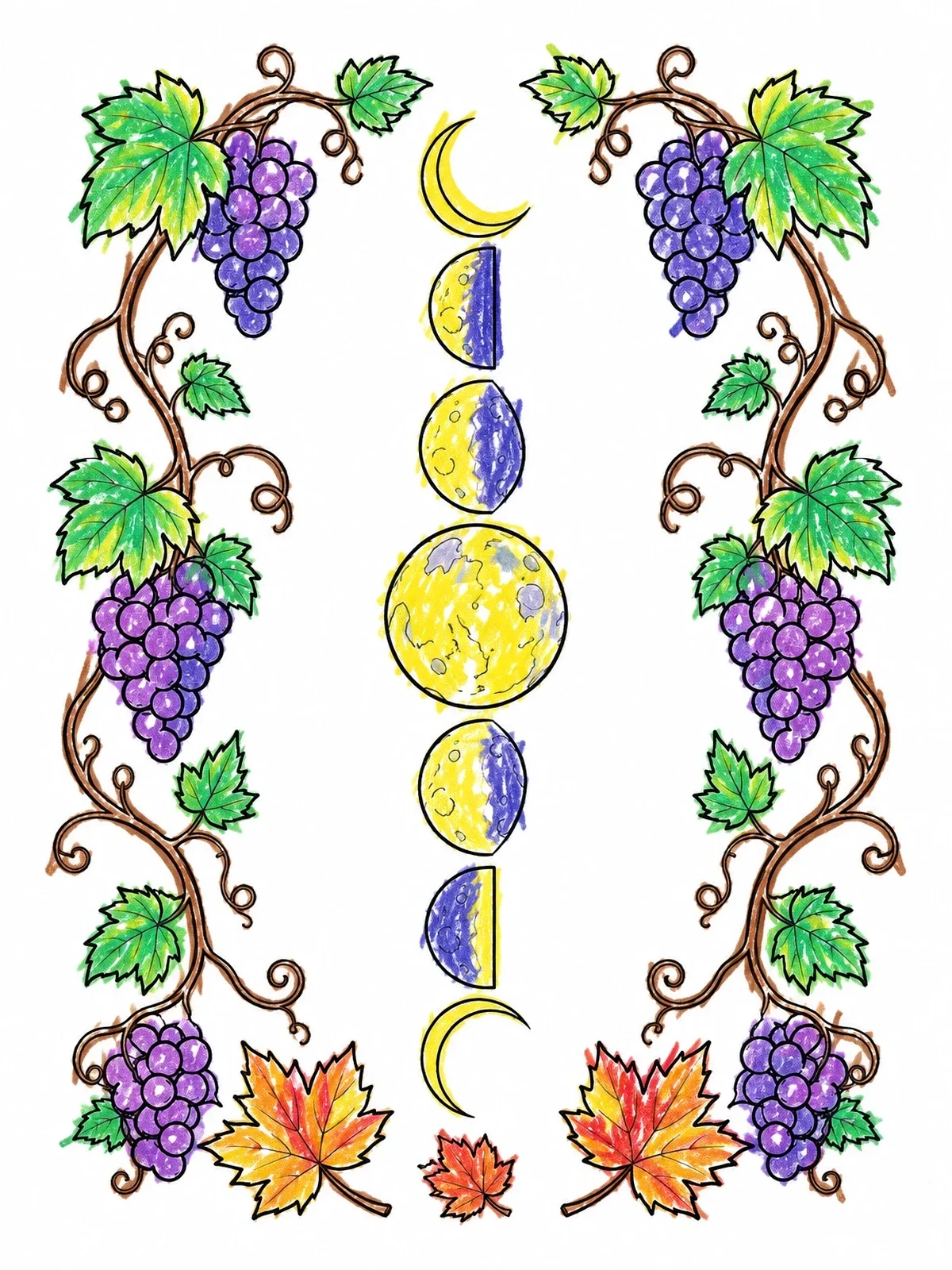 Colored example of the Moon Phases With Grapevine Border coloring page