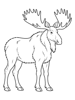 Free printable Majestic Alaskan Bull Moose coloring page