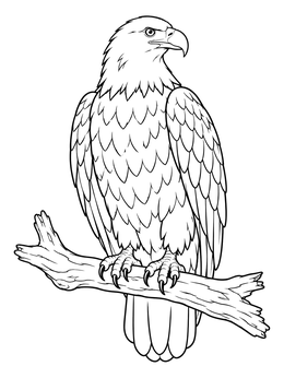 A detailed bald eagle coloring page featuring the proud bird perched on a branch.