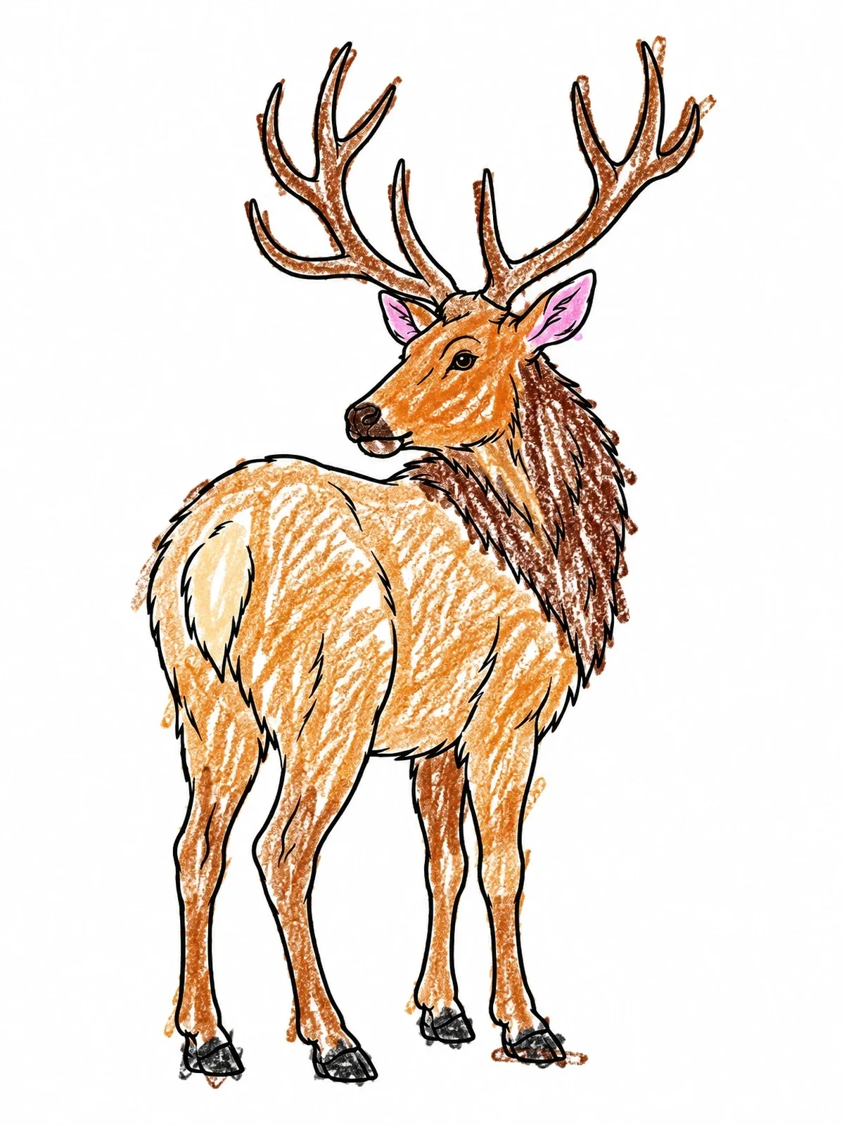 Colored example of the Majestic Bull Elk Looking Back coloring page