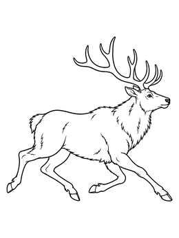 Free printable Majestic Bull Elk On The Run coloring page