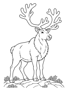 A proud bull in this reindeer coloring page standing on a rocky hill.
