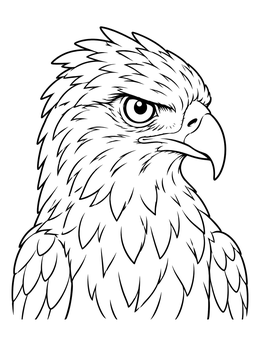 A detailed hawk coloring page featuring a fierce portrait with sharp eyes and feathers.