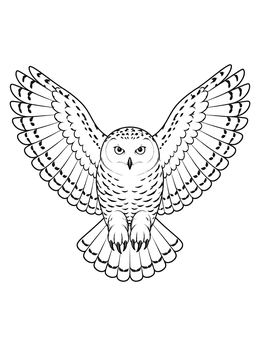 A detailed snowy owl coloring page showing the bird swooping with wings spread wide.