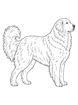 A realistic great pyrenees coloring page showing a fluffy mountain dog standing proud in side profile.