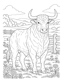 A detailed taurus coloring page showing a strong bull standing in a flowering meadow beside a fence.