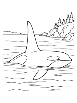 An orca whale coloring page featuring a male killer whale swimming near a pine-topped rocky cliff.
