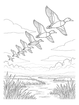 A flock of flying birds on this detailed duck coloring page over a scenic wetland.