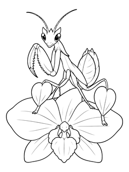Free printable Cute Orchid Mantis On Bloom coloring page