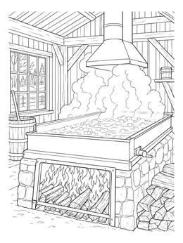 A boiling maple syrup coloring page showing steam rising from an evaporator pan over a fire.