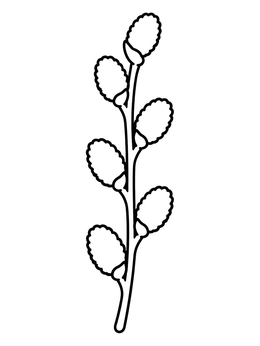 Free printable Fuzzy Pussy Willow Branch coloring page
