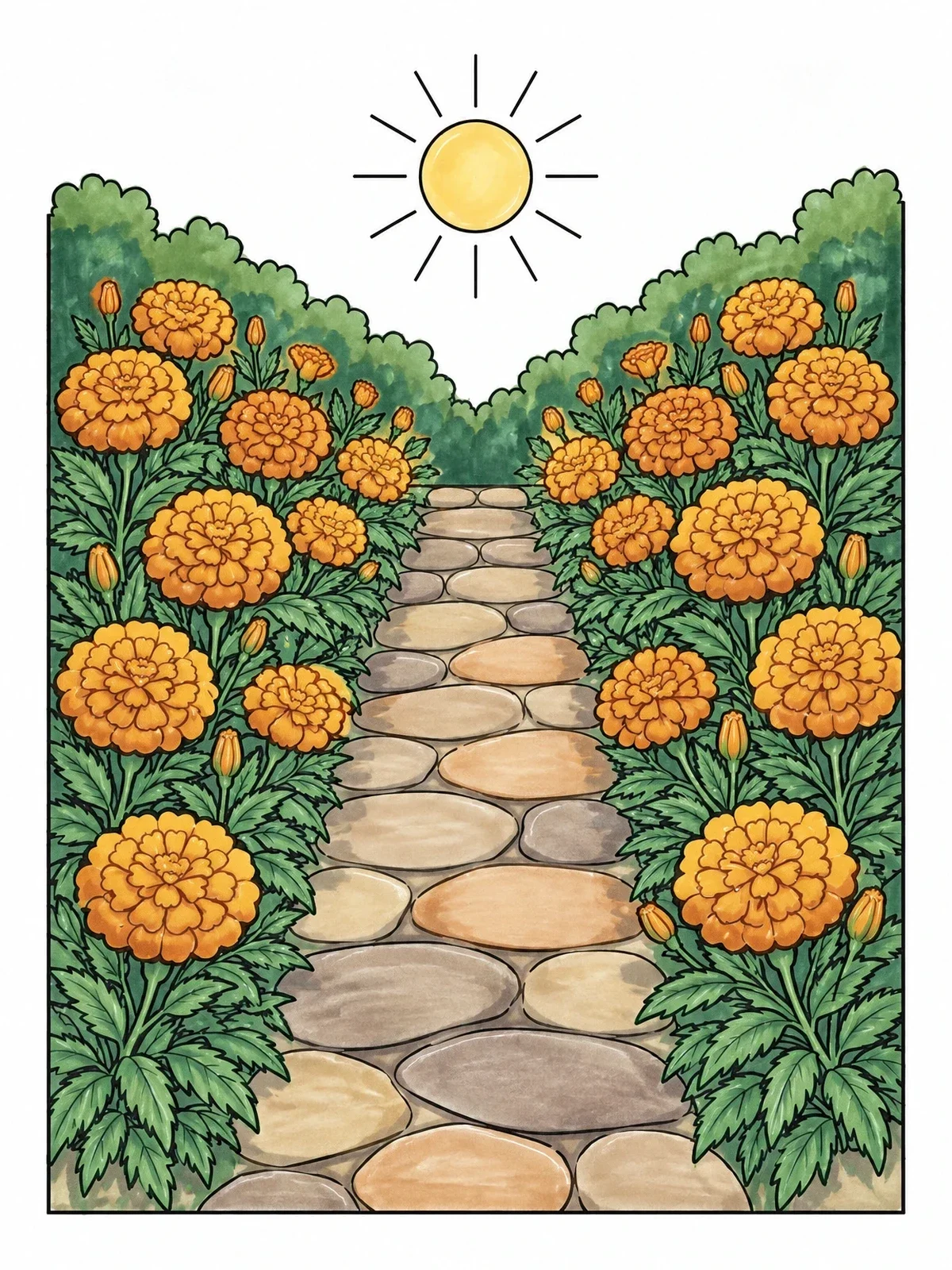 Colored example of the Garden Path Bordered By Marigolds coloring page