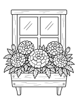 Free printable Marigolds In A Window Box coloring page