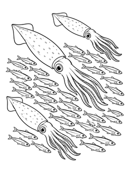 Three market squid glide beside a school of little fish in this squid coloring page.